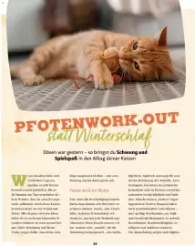 Fressnapf Flugblatt Seite 34