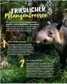 Fressnapf Flugblatt Seite 36