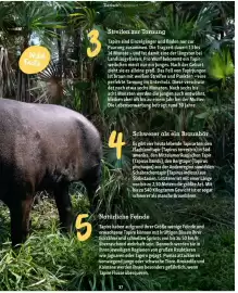 Fressnapf Flugblatt Seite 37