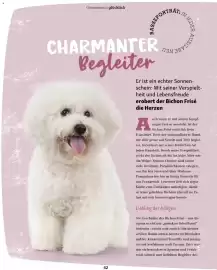 Fressnapf Flugblatt Seite 42