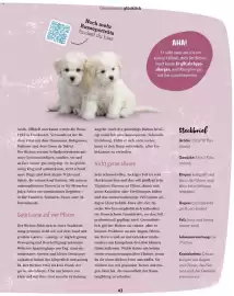 Fressnapf Flugblatt Seite 43