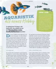 Fressnapf Flugblatt Seite 48