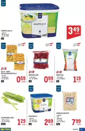 Metro Flugblatt Seite 19