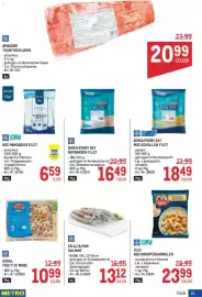 Metro Flugblatt Seite 21