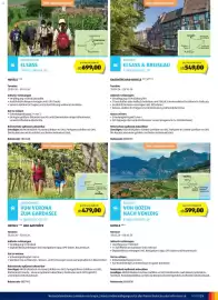 Hofer Reisen Flugblatt Seite 5