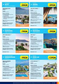 Hofer Flugblatt Seite 11