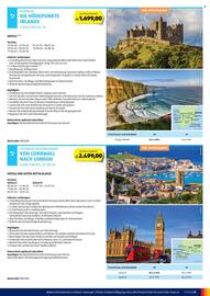 Hofer Flugblatt Seite 15