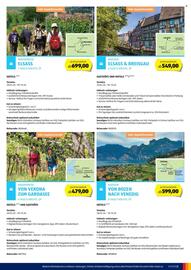 Hofer Flugblatt Seite 5