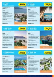 Hofer Flugblatt Seite 11