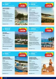 Hofer Flugblatt Seite 8