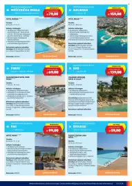 Hofer Flugblatt Seite 9