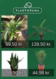 Plantorama tilbudsavis Side 5
