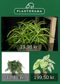 Plantorama tilbudsavis Side 2
