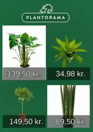 Plantorama tilbudsavis Side 3