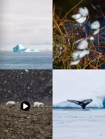 Catalogue Ponant page 17