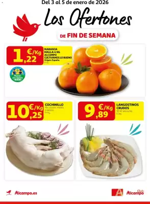 Folleto Alcampo (válido hasta el 5-01)