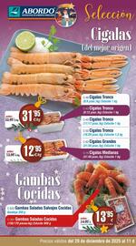 Folleto Abordo Página 2