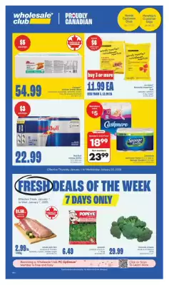 Wholesale Club flyer (valid until 8-01)