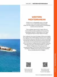 Flight Centre brochure Page 31