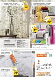 Reiter Flugblatt Seite 1