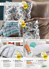 Reiter Flugblatt Seite 2