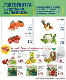 Volantino Spesa Facile Conad Pagina 3