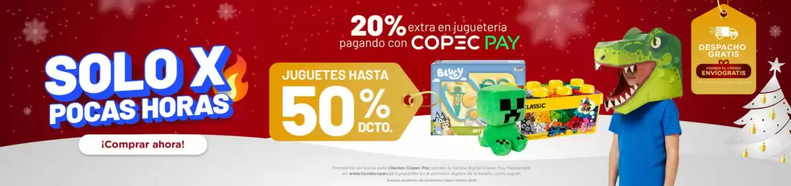 Catálogo Copec Página 2