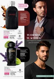 Catálogo Nova Venta Página 79