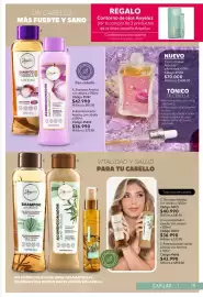Catálogo Nova Venta Página 19
