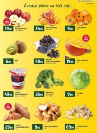 Terno leták Strana 6