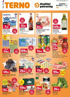 Terno leták (platné do 6-01)