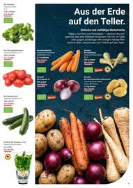 Globus Prospekt woche 2 Seite 31