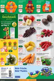 Globus Prospekt woche 2 Seite 4