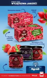 Polomarket gazetka Strona 13