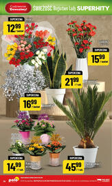 Polomarket gazetka Strona 56