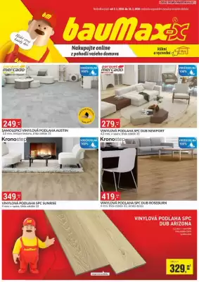 Baumax leták (platné do 31-01)
