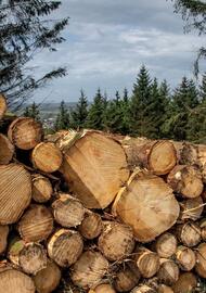 Jewson catalogue Page 3