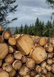 Jewson catalogue Page 3