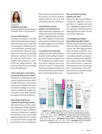 Hebe gazetka Strona 49