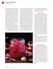 Hebe gazetka Strona 126