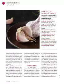 Hebe gazetka Strona 128