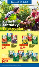 Lidl leták Strana 41