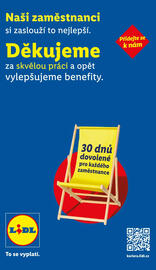 Lidl leták Strana 24
