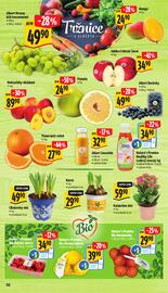 Albert leták | Supermarket Strana 15