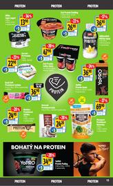 Albert leták Strana 13