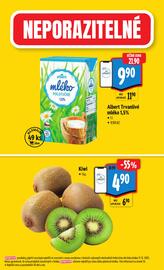 Albert leták Strana 16