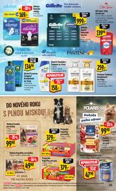 Albert leták Strana 40