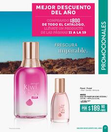 Catálogo Zermat Página 17