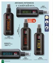 Catálogo Zermat Página 42