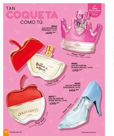 Catálogo Zermat Página 60